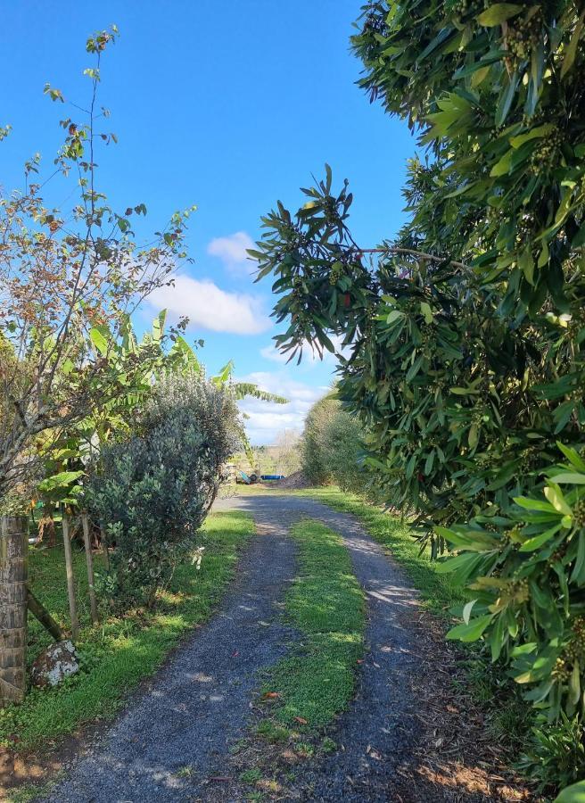 Bookabarn Villa Kerikeri Kültér fotó